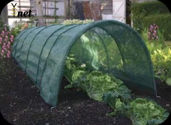 HDPE Greenhouse Shade Netting Customized Outdoor Shade Net 50m - 300m