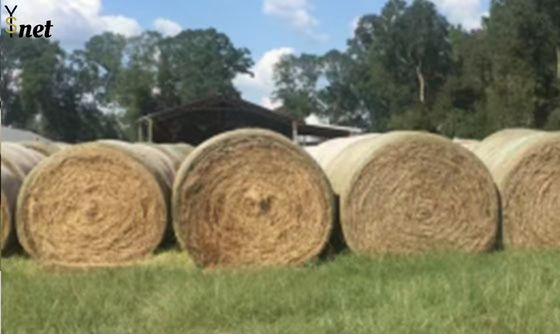 Breathable Round Bale Net Wrap Waterproof 48 Inch Net Wrap Anti UV