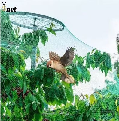 7GSM Bird Proof Net Green Bird Proof Netting For Fruit Trees