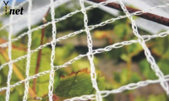 7GSM Red a prueba de pájaros Red verde a prueba de pájaros para árboles frutales