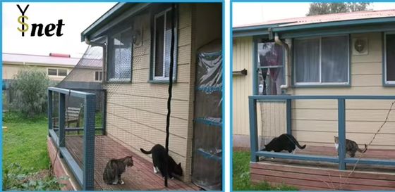 Nylon Pet Safe Net Transparent Balcony Protection Net Customized