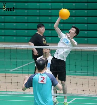 Volley ball net Plasti Trellis Netting Mesh Barrier Playground Safety Nets Soccer Indoor Green Golf