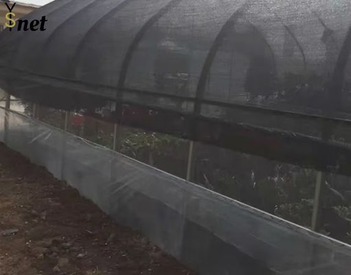 Black Sun Shade Net HDPE Greenhouse Mesh Fabric UV Resistant