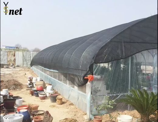 Durable Sun Shade Net 2*100m 4*50m 6*50m 8*50m Shade Net For Farming