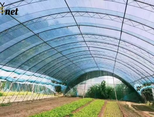 Flat Wire HDPE Shade Cloth 6*50m 8*50m Greenhouse Sun Shade Fabric