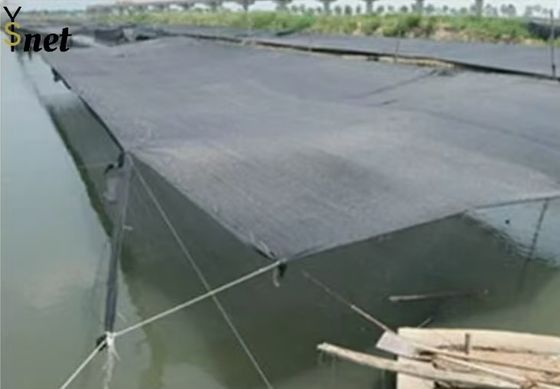 Customized Black Greenhouse Mesh Anti Aging Mesh Shade Cloth 100GSM