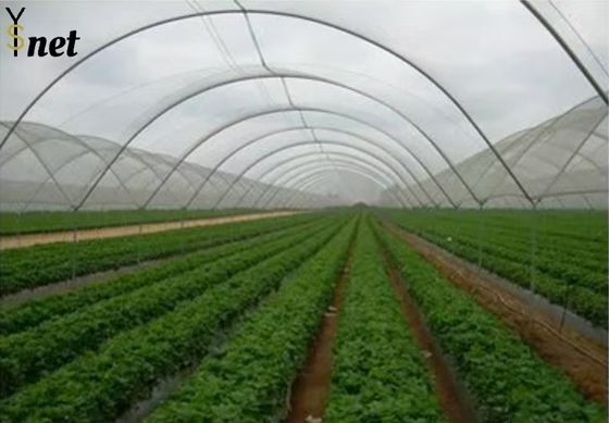 Customized Black Greenhouse Mesh Anti Aging Mesh Shade Cloth 100GSM