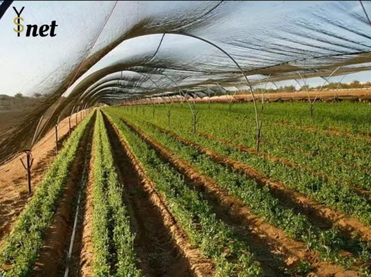 Anti UV Sun Shade Net Durable Garden Shade Net 50m - 100m Length