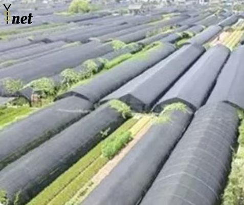 Anti UV Sun Shade Net 50GSM - 350GSM Greenhouse Shading Mesh For Crops