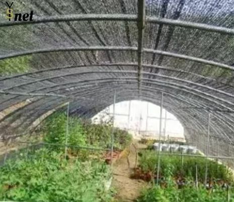 HDPE Sun Shade Net Customized Sun Shade Mesh Anti UV For Crop Protection