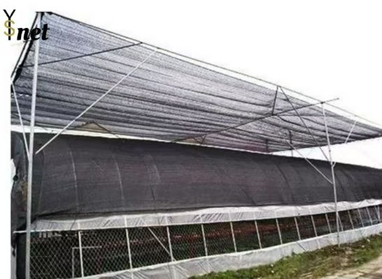 100% HDPE Agro Shade Net 2*100m Agriculture Shade Cloth Black