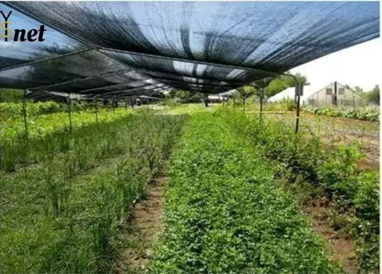 100% HDPE Agro Shade Net 2*100m Agriculture Shade Cloth Black
