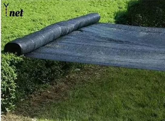 100% HDPE Agro Shade Net 2*100m Agriculture Shade Cloth Black