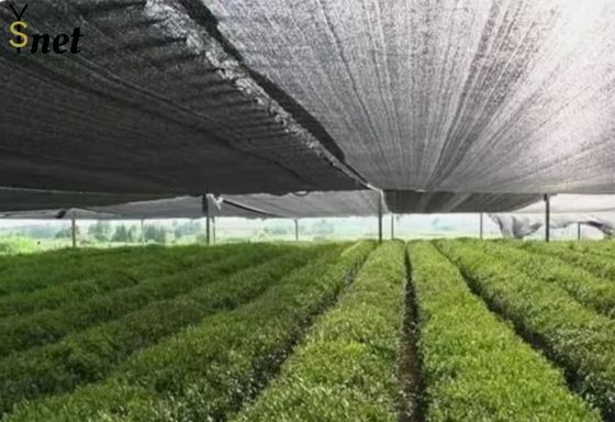 Waterproof Plastic Agro Shade Net Anti Hail Black Shade Cloth For Greenhouse