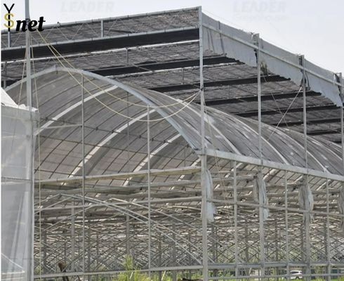 HDPE Sun Shade Net 3 Needle 6 Needle Green House Shade Net For Farmland Or Gardening