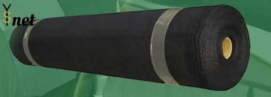 PE / HDPE / Plastic UV Treated Shade Net Black Mesh Shade Net Agricultural