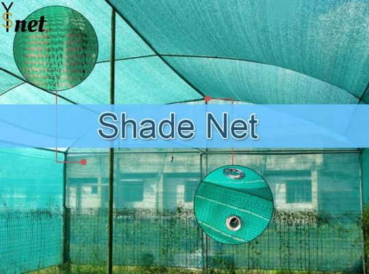 UV Treated Greenhouse Shade Net Agricultural Aluminum Foil Shade Net Green