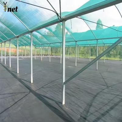 Green Sun Shade Net HDPE Agribegri Shade Net Durable For Agricultural