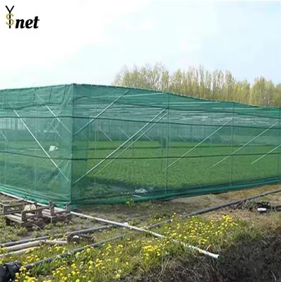 Green Sun Shade Net HDPE Agribegri Shade Net Durable For Agricultural