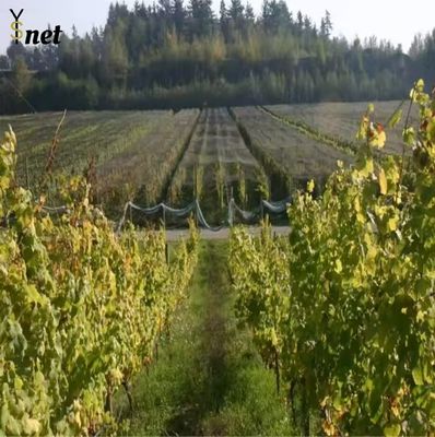 Green Sun Shade Net HDPE Agribegri Shade Net Durable For Agricultural