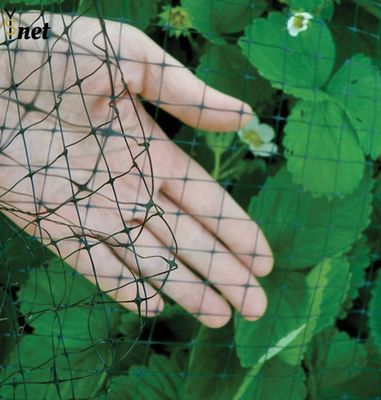 Plastic Garden Anti Bird Netting 3/4" 1/2" 1/4" UV Resistant Bird Net