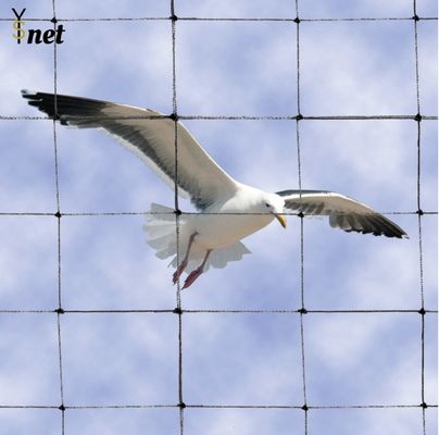 2" Bird Proof Net Rot Proof / Waterproof Pigeon Control Anti Bird Net
