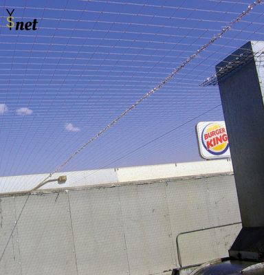 2" Bird Proof Net Rot Proof / Waterproof Pigeon Control Anti Bird Net