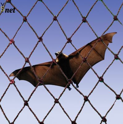 Polyethylene Bat Exclusion Netting Black Heavy Duty Bird Mesh UV Resistant