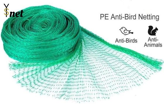 Green Nylon Anti Bird Net UV Resistant Netting For Crops And Gardens