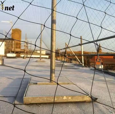 Black Polyethylene Mesh Netting Customized Bird Net For Vegetable Garden