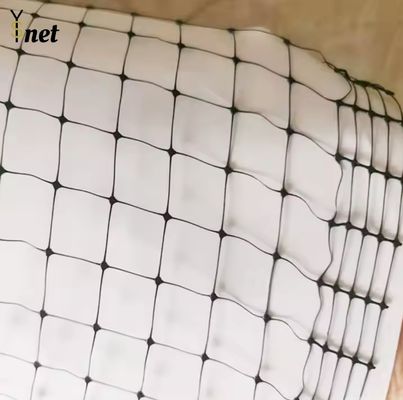 Black Bird Proof Net 100m 200m 300m 500m Bird Control Mesh For Garden