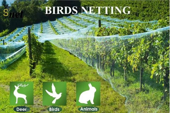 Anti Corrosion Black Anti Bird Netting 1m - 200m Plastic Mesh Bird Netting