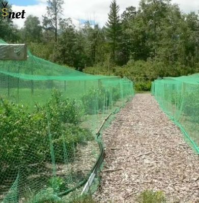 Sturdy UV Resistant Bird Netting 40M Fruit Tree Bird Netting Customized