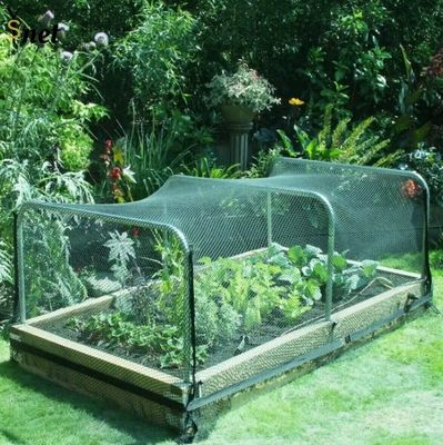 Sturdy UV Resistant Bird Netting 40M Fruit Tree Bird Netting Customized