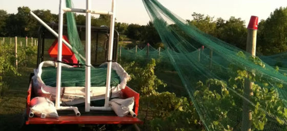 Sturdy UV Resistant Bird Netting 40M Fruit Tree Bird Netting Customized