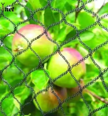 1m - 500m Vineyard Bird Netting Anti UV Bird Netting For Tomato Plants