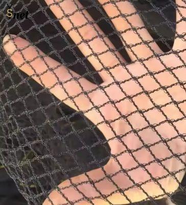 1m - 500m Vineyard Bird Netting Anti UV Bird Netting For Tomato Plants
