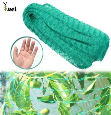 Agricultural Bird Protection Mesh Corrosion Resistant Outdoor Bird Netting Green