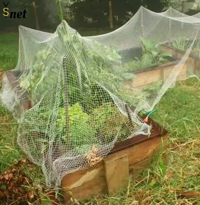 White Bird Proof Net 5gsm 7gsm 8gsm Apple Orchard Netting