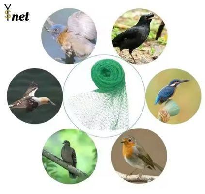 White Bird Proof Net 5gsm 7gsm 8gsm Apple Orchard Netting