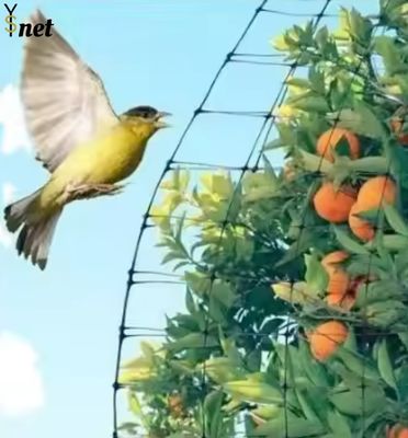 White Bird Proof Net 5gsm 7gsm 8gsm Apple Orchard Netting