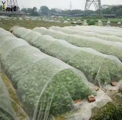 HDPE Greenhouse Bird Netting 20gsm - 30gsm Insect Netting For Garden