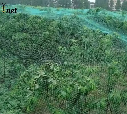Customized Bird Proof Net Green Reusable Bird Netting Anti UV For Garden Protection