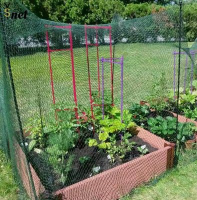 Customized Bird Proof Net Green Reusable Bird Netting Anti UV For Garden Protection