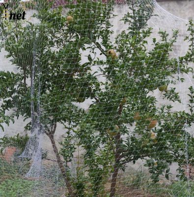 Nylon Bird Proof Net White Bird Proof Garden Netting Lightweight