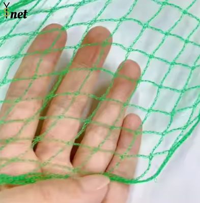 Customized Plant Protection Netting Green Crop Protection Netting Agricultural