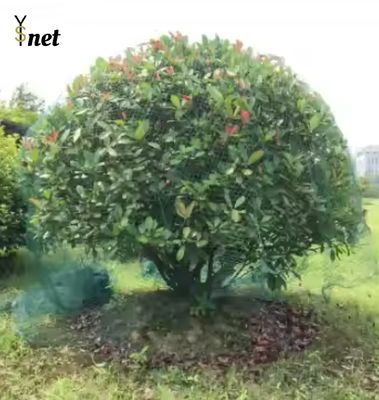 Customized Plant Protection Netting Green Crop Protection Netting Agricultural