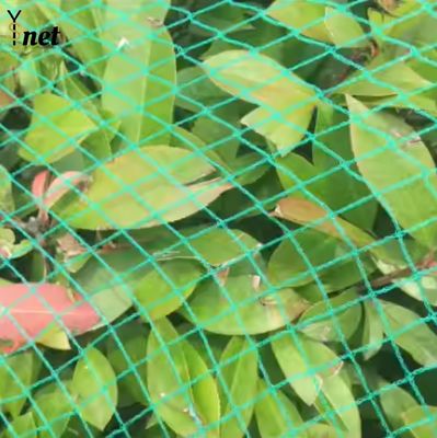 Customized Plant Protection Netting Green Crop Protection Netting Agricultural