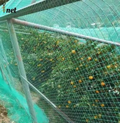 Heavy Duty Bird Proof Net 3cm / 5cm / 7cm / 10cm HDPE Anti Bird Net