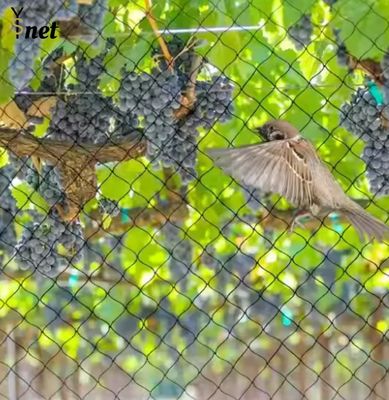 Heavy Duty Bird Proof Net 3cm / 5cm / 7cm / 10cm HDPE Anti Bird Net